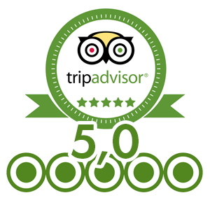 trip advisor review